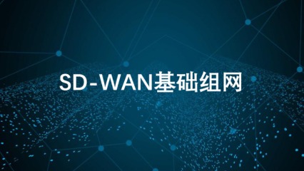 SD-WAN基础组网教程