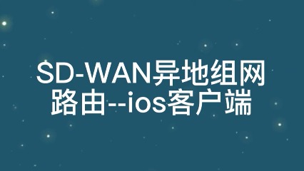 SD-WAN异地组网路由与ios客户端