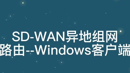 SD-WAN异地组网-路由与windows客户端